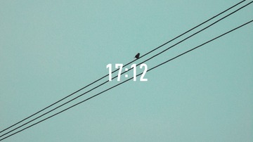 24731