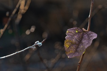 F1390170-7628-40E0-9B0E-BCB5FDF85016/L0/001