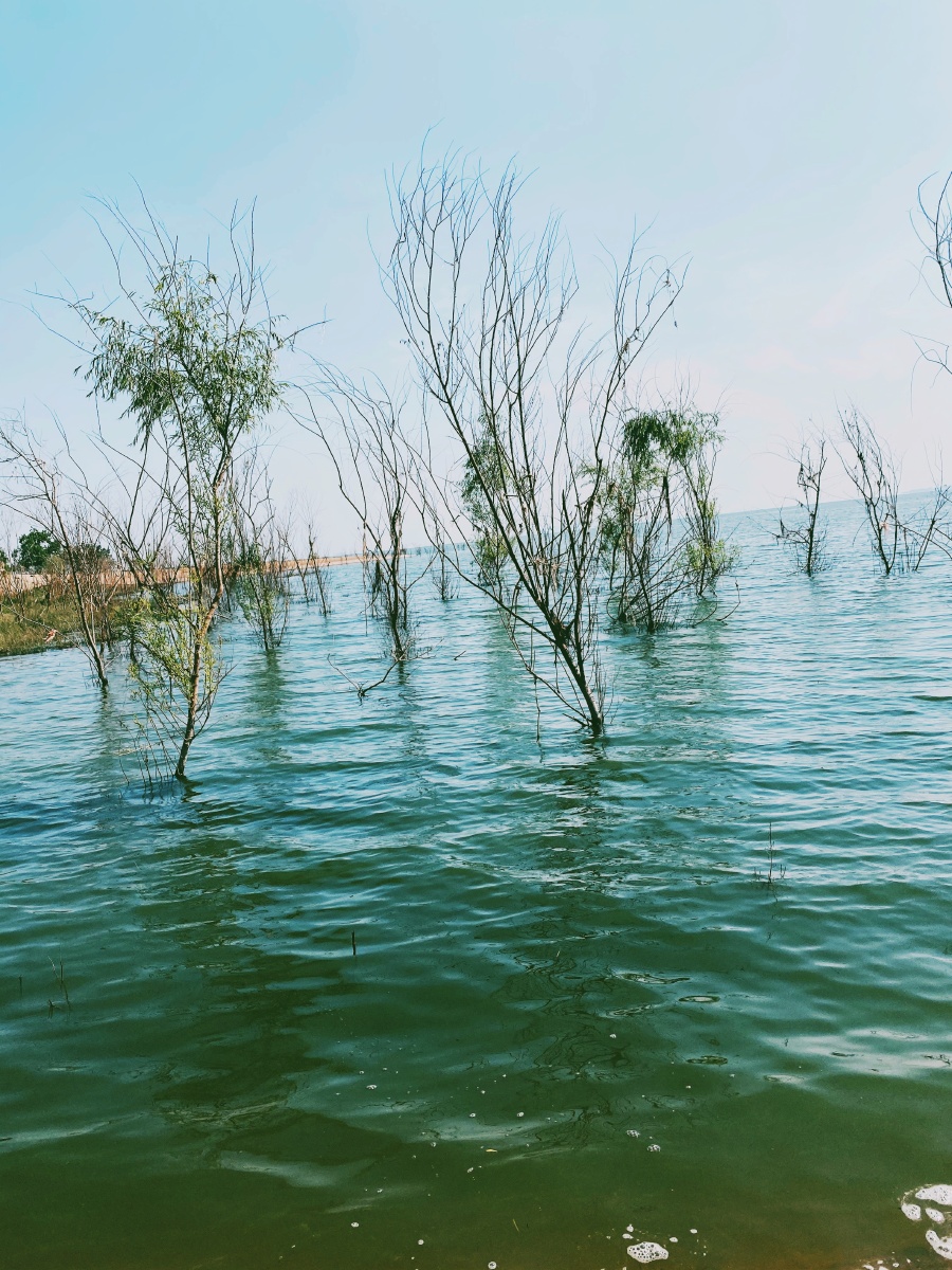 一湖清水悠悠赢动驾一叶小舟越过这万顷碧波仿佛可以驶进那令人神往的