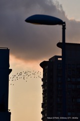 1405FACF-9388-44BF-B1D4-AF9039F64981/L0/001