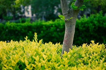 91047DA7-6D0F-4A5C-B7BC-84365CA4B1CD/L0/001