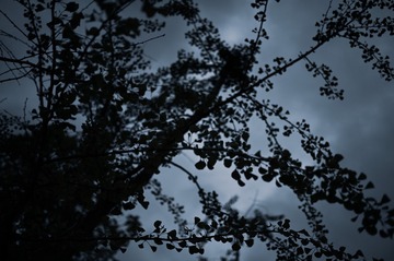 2662B9B0-C058-4C93-9090-A8AD236064DF/L0/001
