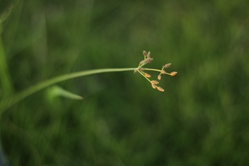 93473