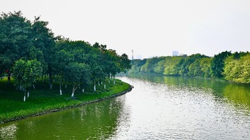 9E9B8A04-0116-4761-B254-BF84009A234E/L0/001