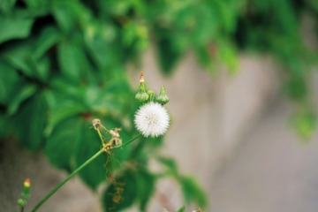 C44F0B04-FA68-4478-A586-5AA8527B5A44/L0/001