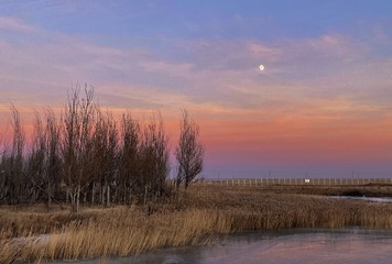 A625AB43-4591-498F-B0AC-9506FF2B7B16/L0/001