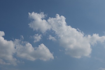 11619