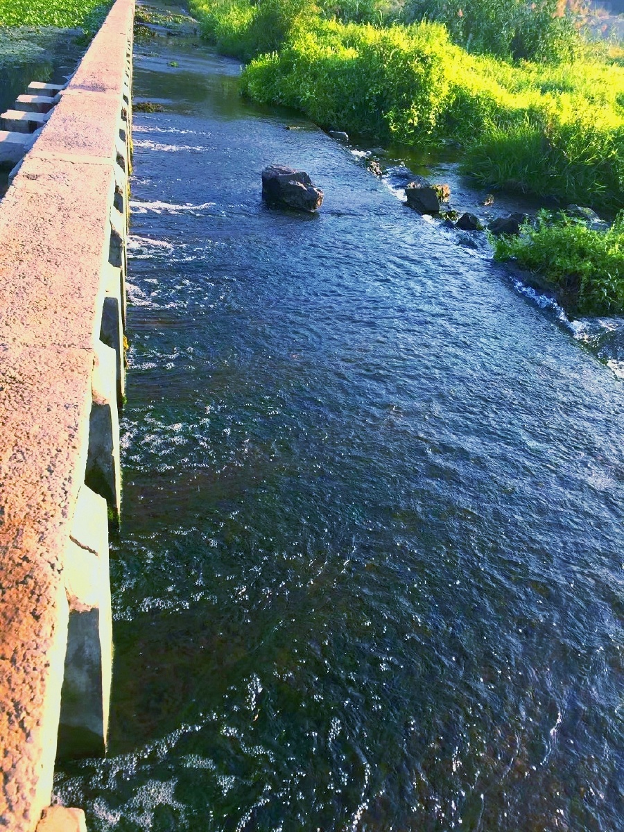 清晨的阳光洒满小河的角角落落