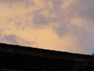 3232292