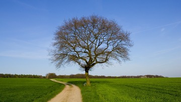 158