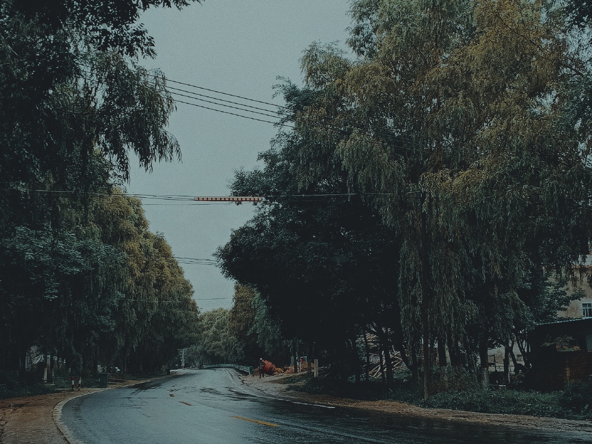 雨天马路