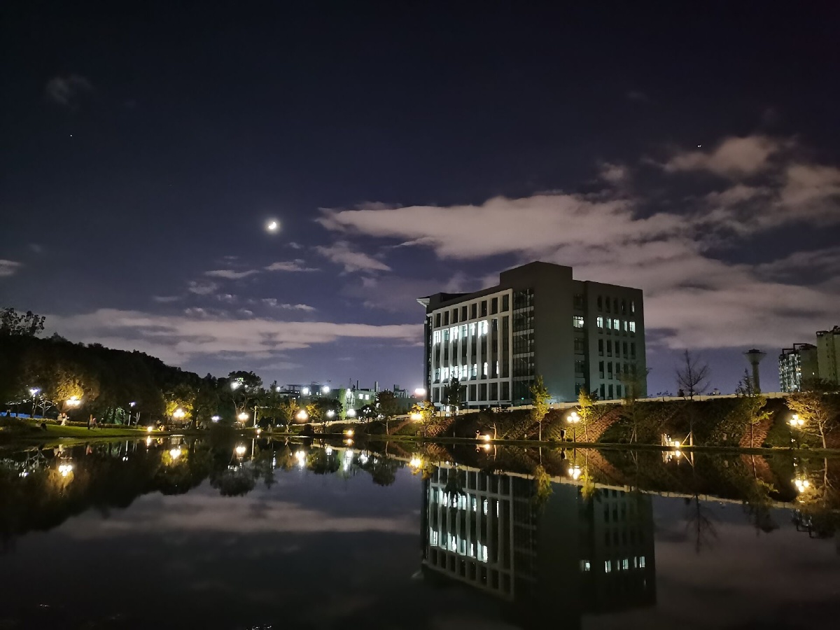 昆明西南林业大学秋海