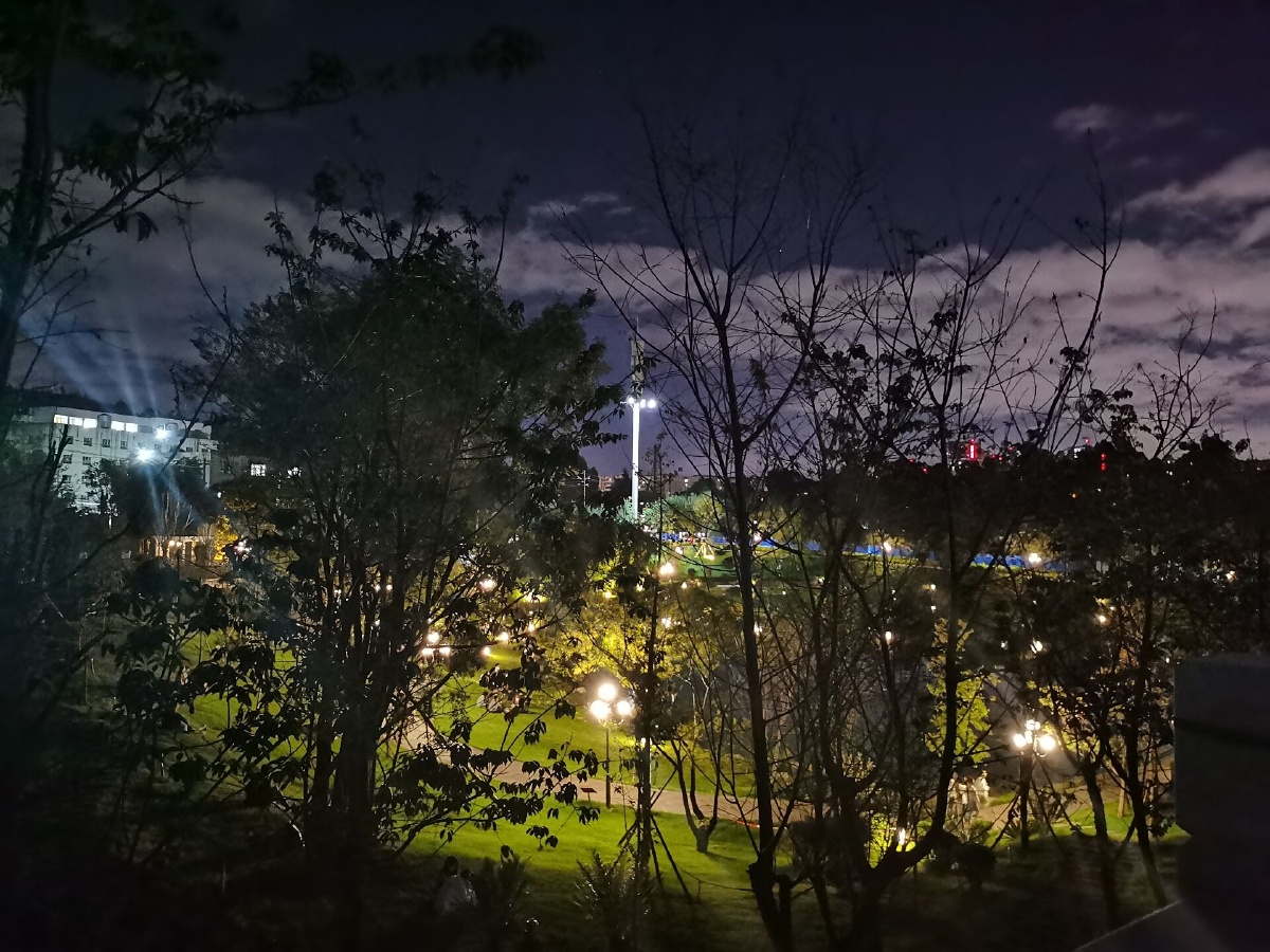 昆明西南林业大学秋海