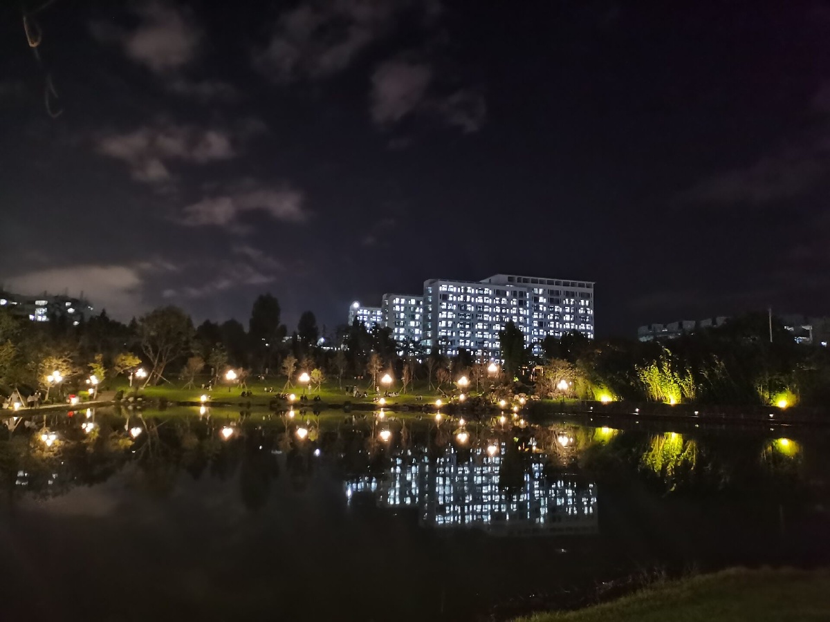 昆明西南林业大学秋海