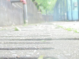887577