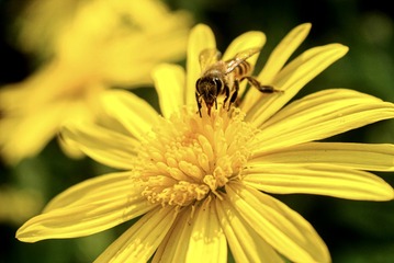 97F0BD7B-9643-4934-86A0-648C6A26012E/L0/001