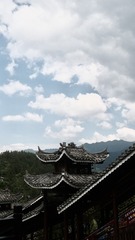 561B7133-4791-402C-BDE8-48B2452BA33B/L0/001