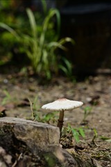 D75E9DF1-44B3-423E-A87B-7677537A21BB/L0/001