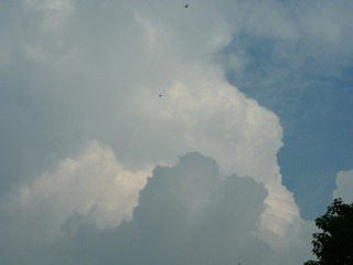 B756DF6F-6E04-4A47-A201-7A37C9FDC2B6/L0/001