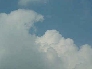 8DAA385C-7231-47F4-8C72-F61F11A6F5E9/L0/001