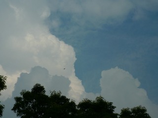 8DCD1E2B-E7B6-4855-A3D2-9736C6ADCE8C/L0/001