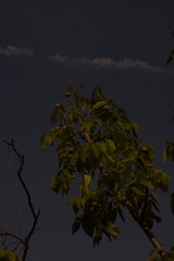 B2427215-29DD-4B32-93A9-52F01497718E/L0/001