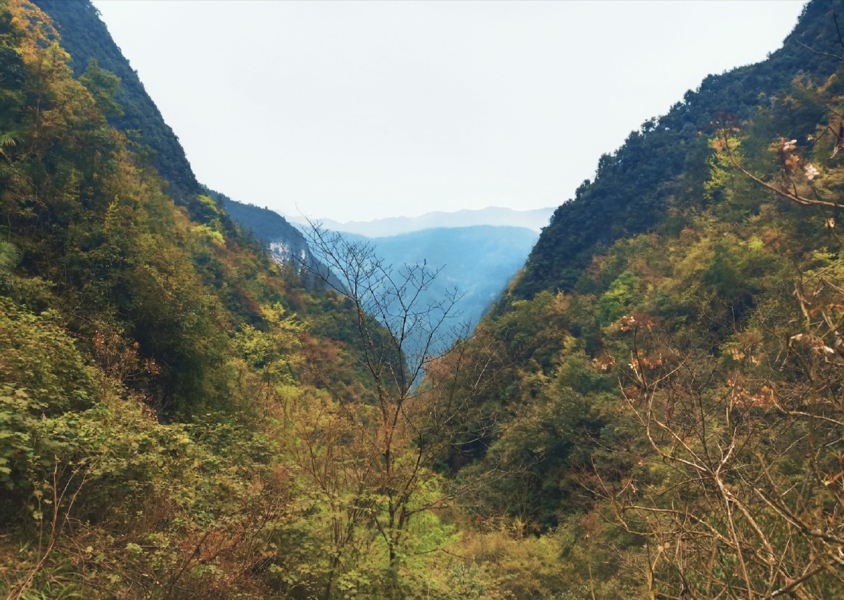 站在深山坳眺望山的另一边