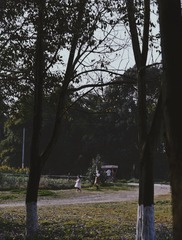 85332041-CF0F-42BF-A6AF-EB6F337D35F6/L0/001
