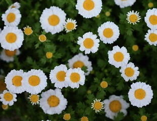 6F68BEBB-2F57-4070-9E85-BC0802336F7A/L0/001