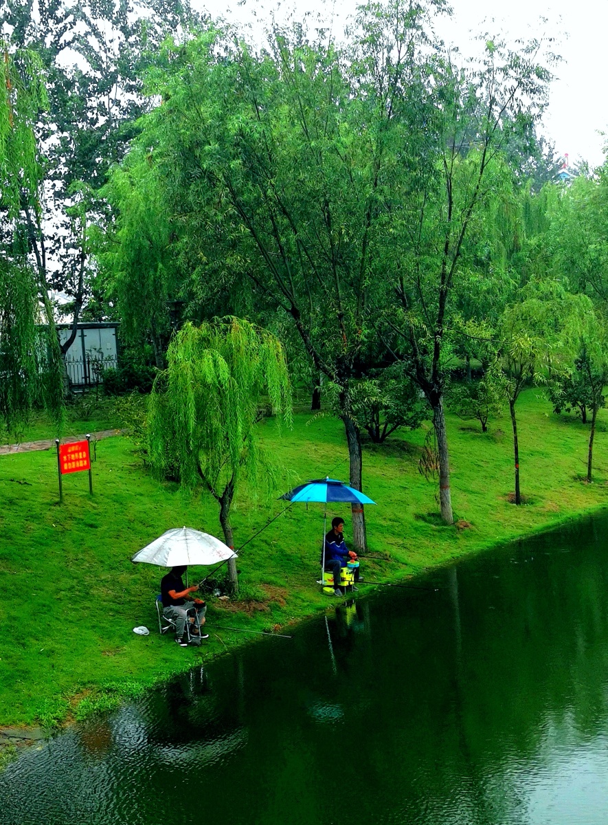 雨中垂钓