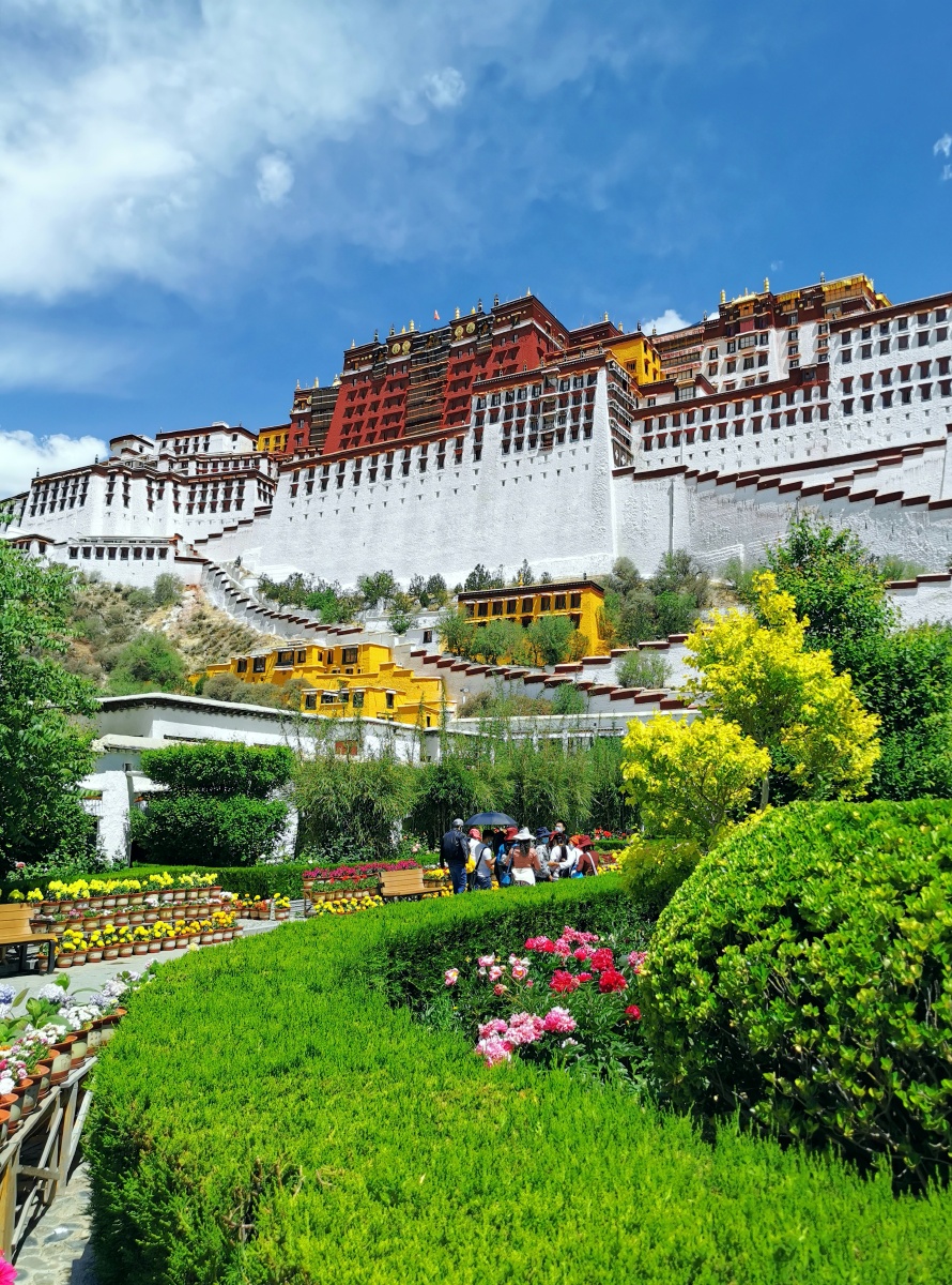 医者