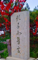 1242936