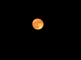 1302517
