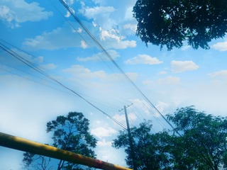 3816561