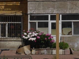 B8BDDC60-9F37-4A1D-BFDC-7CFB869924B8/L0/001