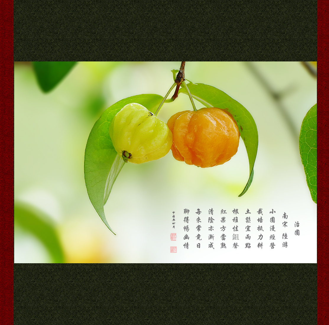 灯笼果有关红果的古诗词欣赏