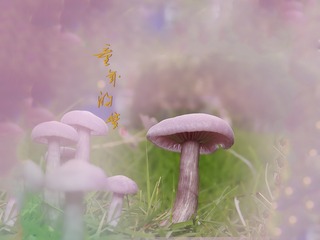 85942