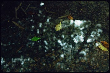 _DSC1478_2_1