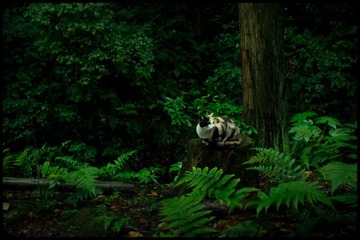 _DSC1476_2_1