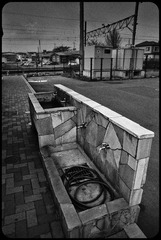 _NHW4720_1