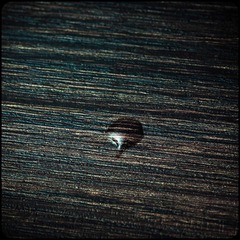 _NHW9109_1