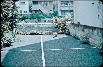 _NHW9320_1