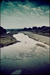 _NHW9960_1