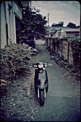 _NHW9955_1