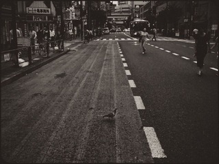 DSCF1183_2_1