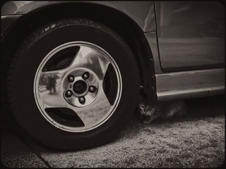 DSCF1210_1_1