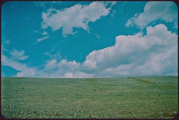 _NHW1440_1