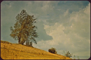 _NHW1434_1