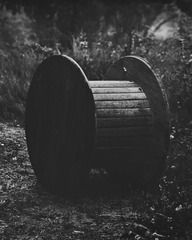 _NHW1507_1_1