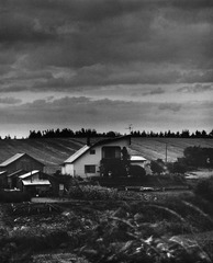 _NHW1513_1_1